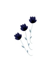 Drawing of dark flowers in the technique of watercolor paints