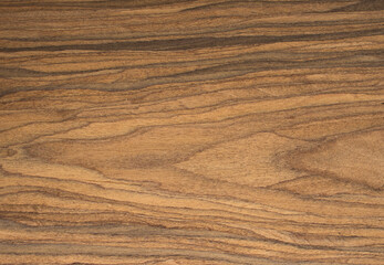 wooden texture of Santos Rosewood tree