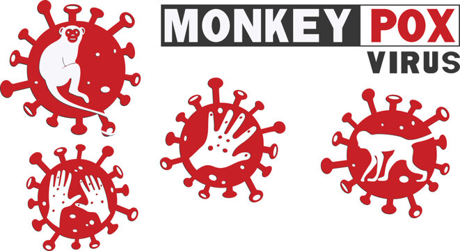 Vector of the monkey pox virus