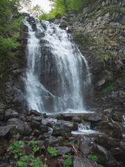 Obraz premium Nature of the italian alps in spring
