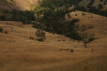 Obraz premium landscape in the mountains