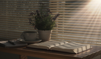 Open the Bible in the morning to pray in the warm sunlight by the window in a bright setting with flower pots in front of you.