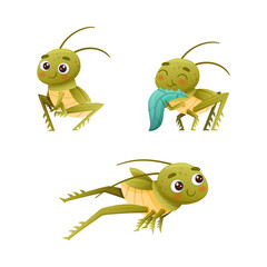 Cute Little Grasshopper Character Sitting, Chewing Leaf and Jumping Vector Set