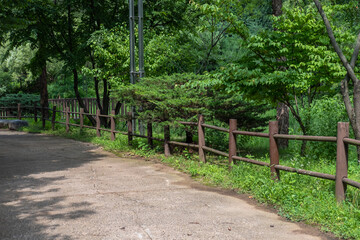 Walking path with wooden fence, tree along the way. Yongsan Family Park, Seoul, South Korea.