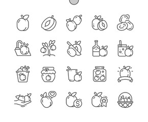 Apricot fruit. Cooking, recipes and price. Food shop, supermarket. Menu for cafe. Pixel Perfect Vector Thin Line Icons. Simple Minimal Pictogram