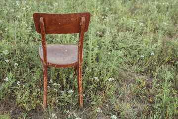 chair on a field with fruits