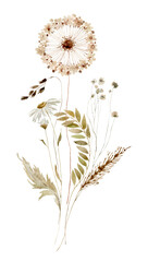 Wildflowers, herbs boho bouquet painted in watercolor. Dried pampas grass floral border, frame. Botanical boho elements isolated on white. Wedding invitation, greeting, card, print, scrapbooking