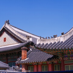 Obraz premium The clear sky, the wonderful tiled roof of Changdeokgung and the architecture Korean traditional old palace