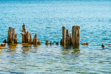 Landscape of the Huron Lake water and old withered wooden dock posts or marina wreck at sunny day in Georgian Bay near Spirit Rock Conservation Area at Wiarton, Ontario, Canada.