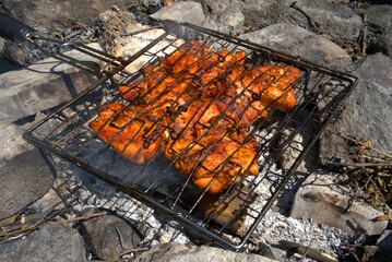 meat on the grill