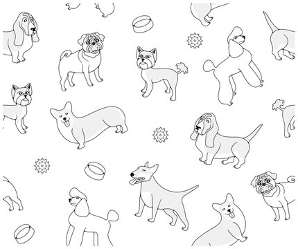 Dog breeds, poodle, pug and yorkshire terrier, seamless vector background in outline. Animal, pets, basset hound, welsh corgi and miniature bull terrier, vector design