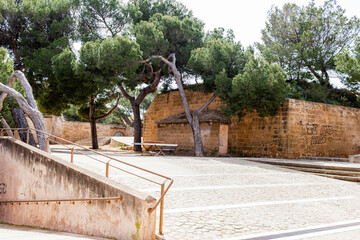 trees in the city © Robert