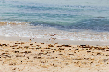 waves on the beach