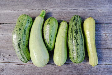 There are a lot of fresh zucchini on a wooden background. Organic vegetables on an organic farm. The concept of agriculture, cultivation and care of plants.Harvesting