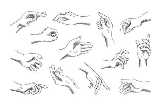 Retro hand icons. Human arms. Various gestures. Antique signs of finger. Sketch elements set. Forefinger and fist positions. Body part. Monochrome engraving drawing. Vector design symbols