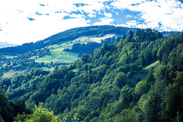 Woods in town in Austria 
