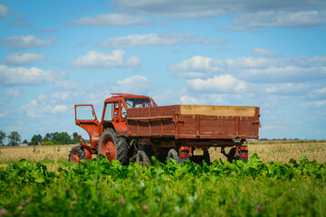 Red tractor in the fields is waiting for harvester 