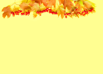 Naklejka na ściany i meble Autumn leaves and red viburnum. Autumn composition on yellow background. Creative copy space for seasonal projects