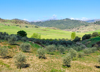 Fototapeta na wymiar Mountains in Malaga province