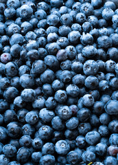 blueberries in a bowl. close up shot of a blueberries. blueberries background