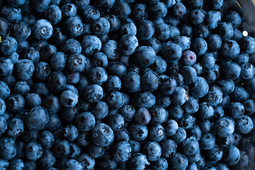 blueberries in a bowl. close up shot of a blueberries. blueberries background