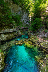 Beautiful view of the turquoise transparent stream water in Vintgar Gorge near Lake Bled in summer, Upper Carniola, Slovenia - 520390360