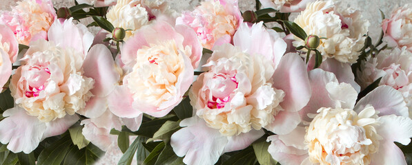 background of delicate pink peonies