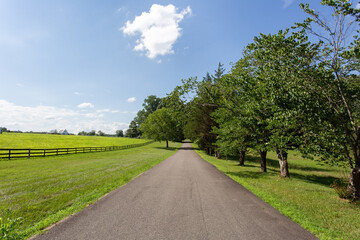 Fototapeta na wymiar Countryside road summer green scenery blue sky wood fence