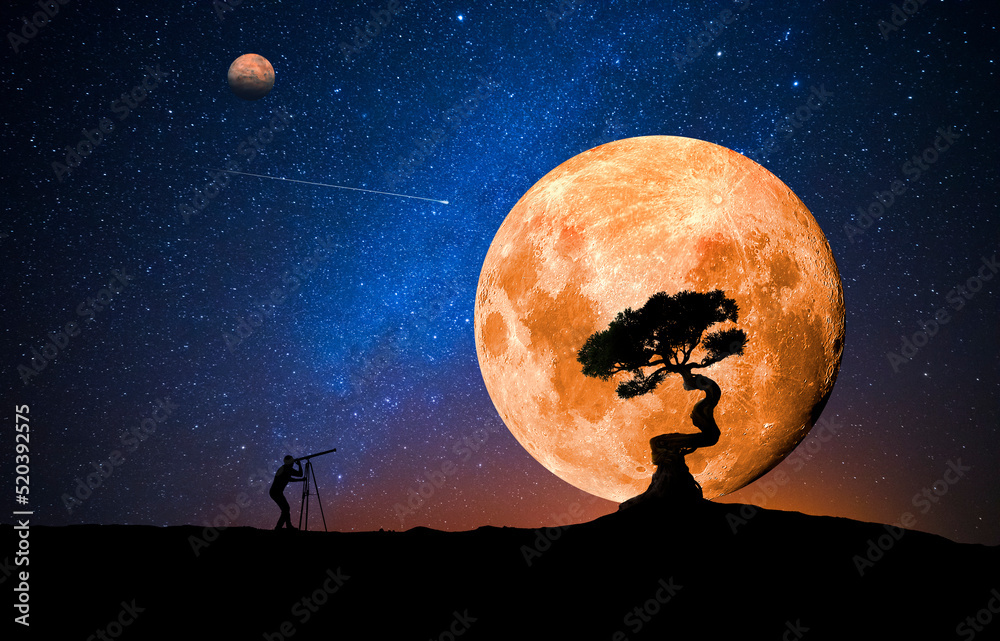Canvas Prints man observing the moon from outside