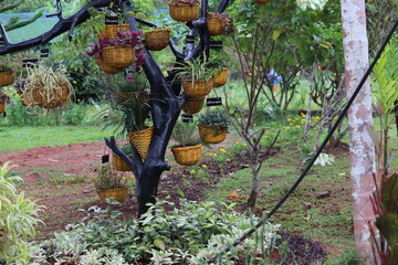 Beautiful Garden Island at Port Blair