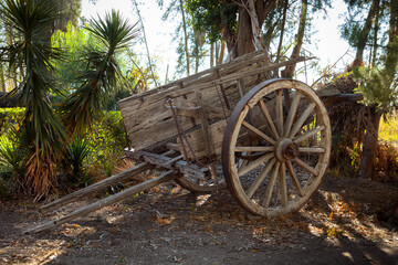 An old wagon abandoned in the field. - obrazy, fototapety, plakaty