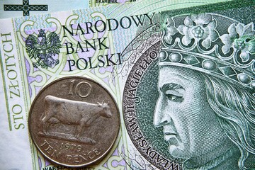 polski banknot,100 PLN, moneta z wyspy Jersey, Polish banknote, 100 PLN, coin from Jersey - obrazy, fototapety, plakaty