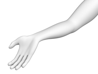 Three-dimensional model of human hand isolated on white background. 3D illustration.