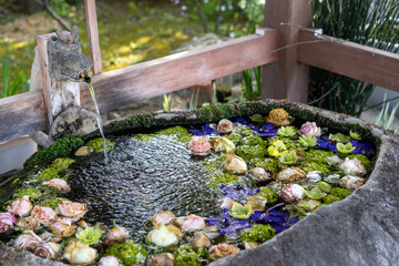 神社と水と花