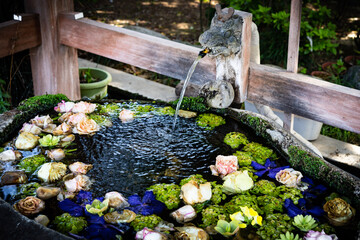 神社の手洗い場に浮かぶ花