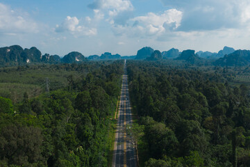 Aerial view of country asphalt road in forest.