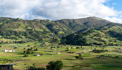 Ovejas pastando en un valle de Boyaca