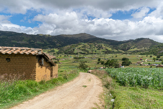 Casa campesina rodeada de cultivos de cebolla junca, criolla, papa y hortalizas , ubicada alrededor de la laguna de tota en Boyaca, colombia