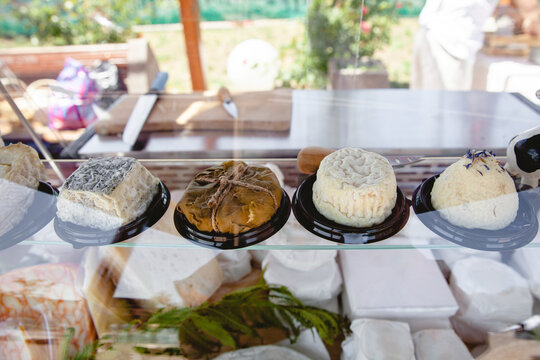 A range of different types of homemade cheese on a glass shelf in a showcase at a street fair