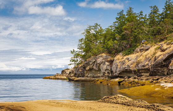 Rocky seashore in the Pacific rim National Park in Vancouver Island BC, Canada. Beautiful seaside landscape.