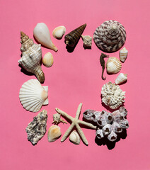 Shells in the form of a frame on a pink background. Place for the label