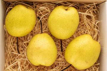 Four sweet bright yellow pears in a box with wood shavings, close-up, top view.