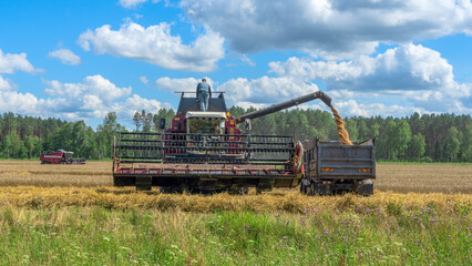 Fototapeta premium Combine harvester harvesting on the field. Harvesting wheat. Harvester machine working in field.