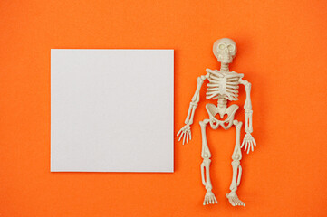 Skeleton on an orange background. Copy space. Halloween background