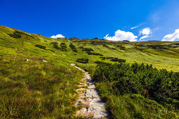 Slovakian Chopok Low Tatra landscape
