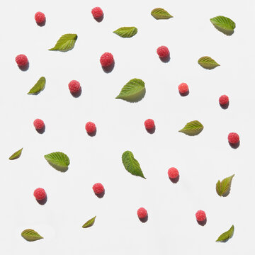 Summer flat lay composition with hard shadow. Berries and raspberry leaves on white background.