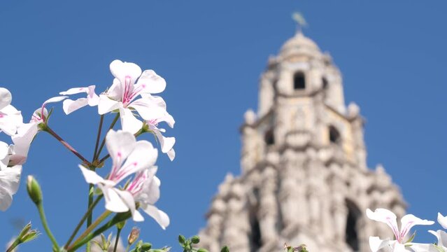 Spanish colonial revival architecture in Balboa Park, San Diego, California USA. Historic building, classic baroque or rococo romance style. Bell tower relief decor and mosaic dome or cupola. Flowers.