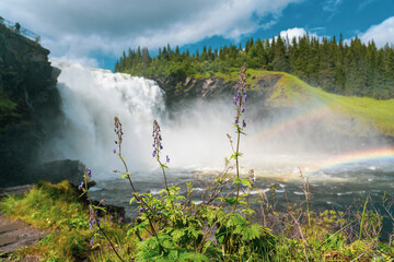rainbow over the waterfall
