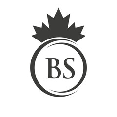 Letter BS Maple Leaf Logo Template Symbol Canadian Business, Company Logo Concept Vector Template