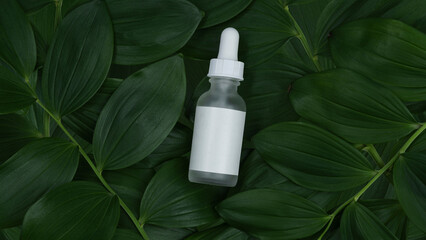 a bottle for cosmetics made of white frosted glass with a pipette lies on a pillow of fresh green leaves close-up. blank for designers, layout for presentation, mock-up